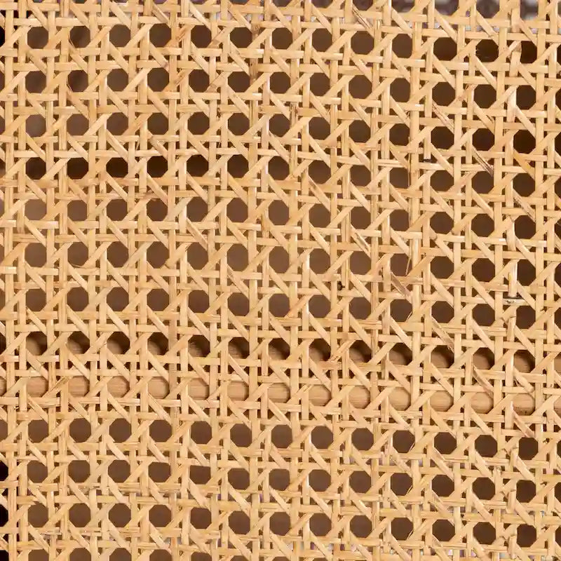 Modern Bohemian Light Honey Rattan 2-Door Storage Cabinet